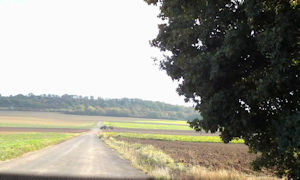 Albisheim Scenes 26.jpg